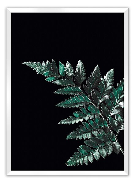 Dark Fern Leaf poszter