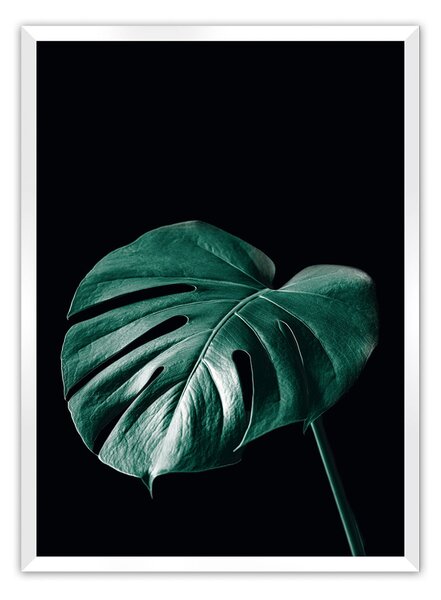 Dark Monstera poszter