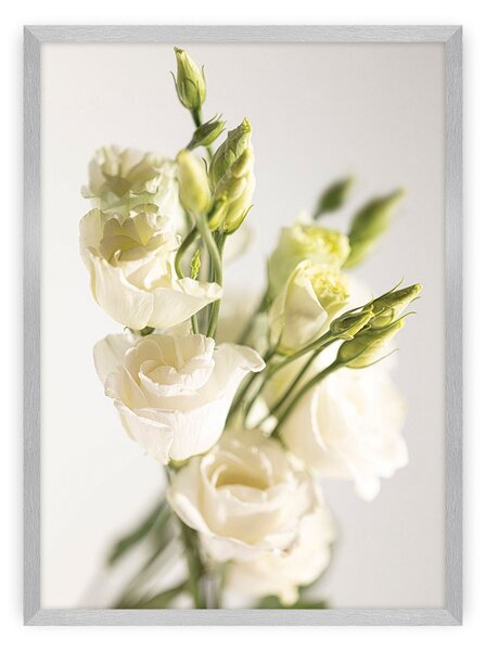 Elegant Flowers poszter