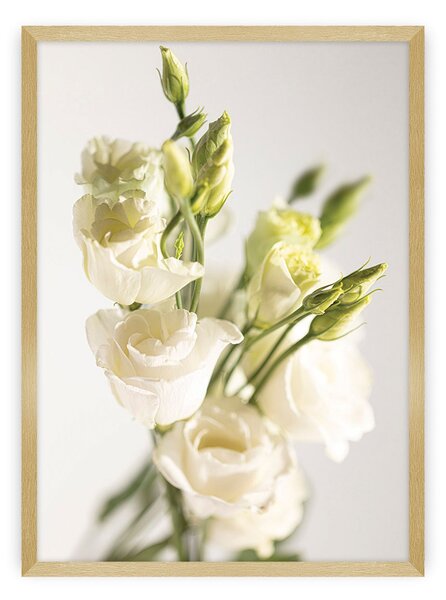 Elegant Flowers poszter