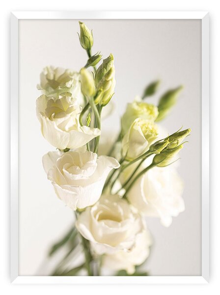 Elegant Flowers poszter