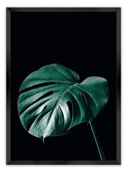 Dark Monstera poszter