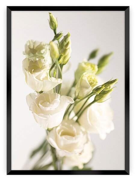 Elegant Flowers poszter