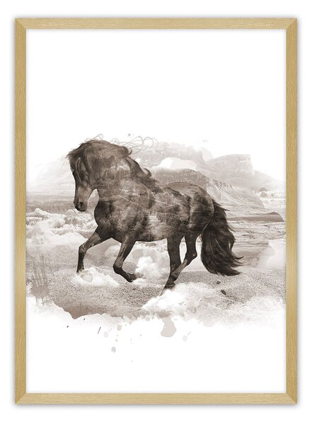 Horse poszter