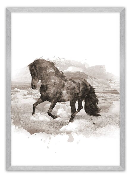 Horse poszter