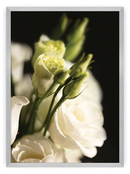 Dark Flowers I poszter