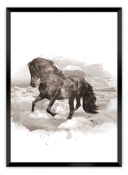 Horse poszter