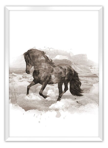 Horse poszter