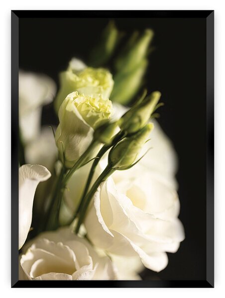 Dark Flowers I poszter