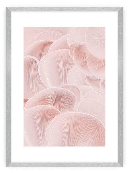 Pastel Pink I poszter