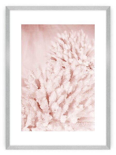 Pastel Pink II poszter