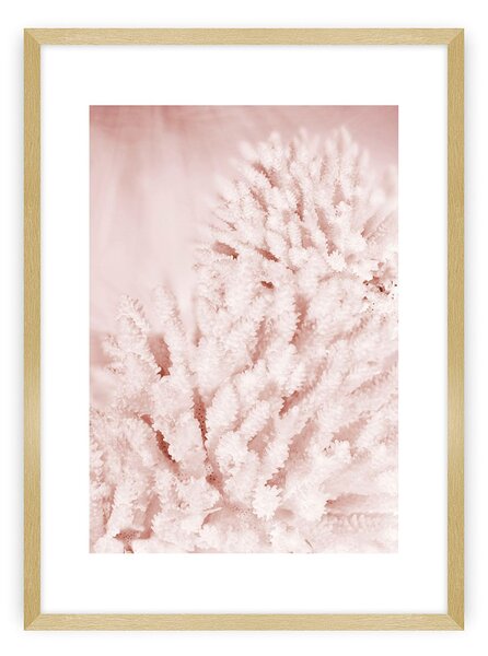 Pastel Pink II poszter