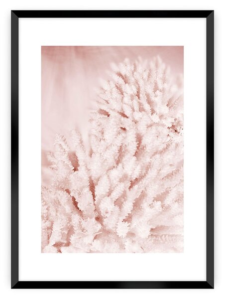 Pastel Pink II poszter