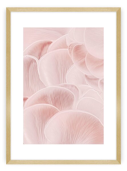Pastel Pink I poszter
