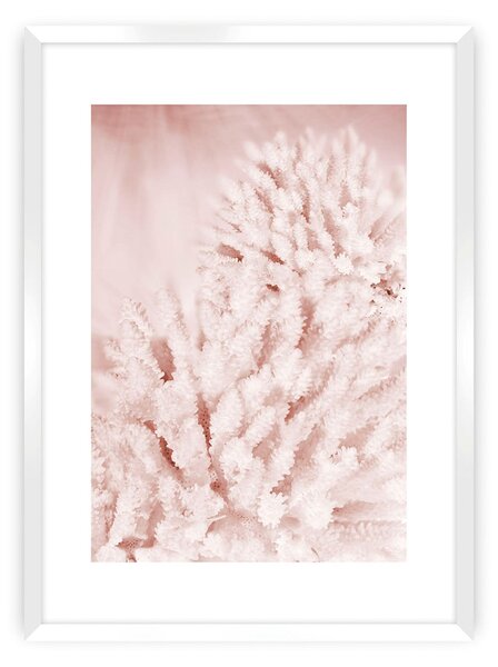 Pastel Pink II poszter