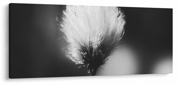 Kép - Fekete-fehér pamutfű (120x50 cm)