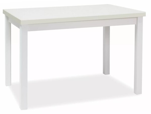 Adam 120 Fehér Matt Étkezőasztal Laminált MDF