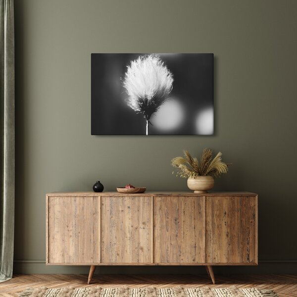 Kép - Fekete-fehér pamutfű (90x60 cm)