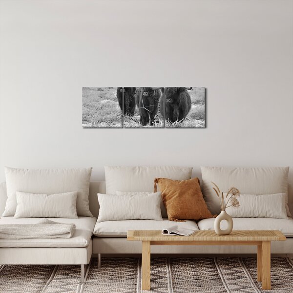 Kép - Skót tehenek (órával) (90x30 cm)