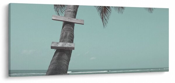 Kép - Palma a Karib-tengeren (120x50 cm)