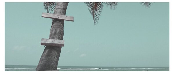 Kép - Palma a Karib-tengeren (120x50 cm)