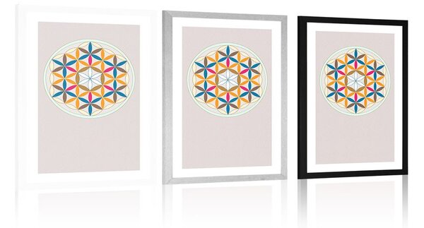 Poszter paszportuval színes Mandala