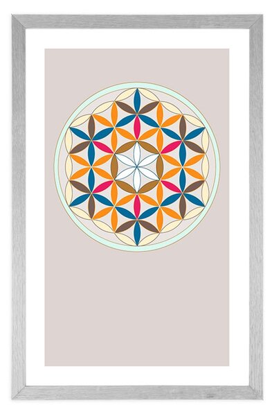 Poszter paszportuval színes Mandala