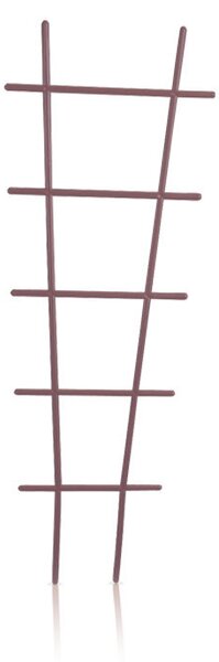 Drabinka Növénytámasz Barna 40 cm, 10db-os csomag