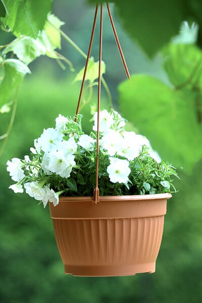 Terra Függő Virágtartó Terrakotta 23 cm, 10db-os csomag