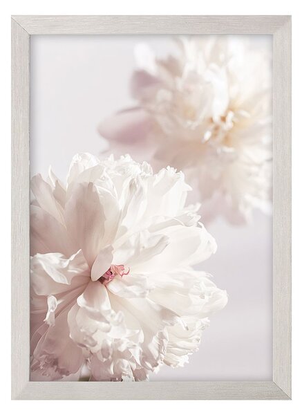 Peony II kép 21x30cm ezüst
