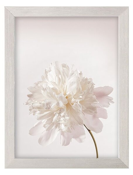 Peony III kép 18x24cm ezüst