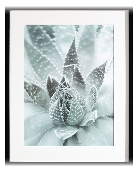 Succulents III kép 40x50cm
