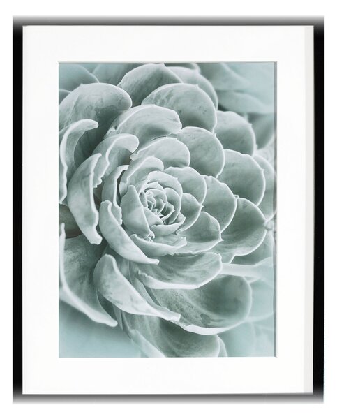 Succulents I kép 40x50cm