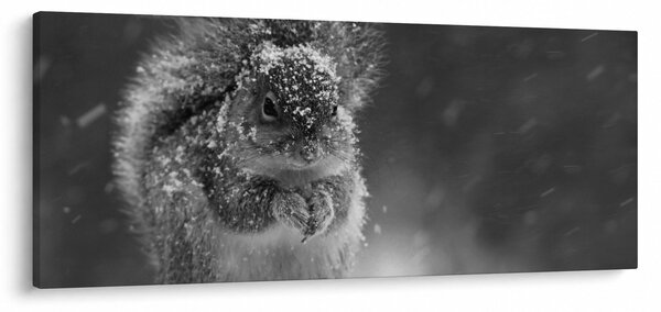 Kép - Mókus télen (120x50 cm)
