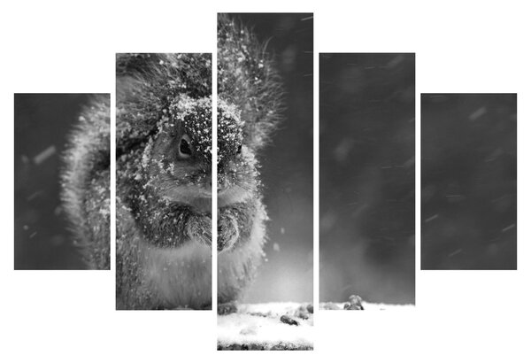 Kép - Mókus télen (150x105 cm)