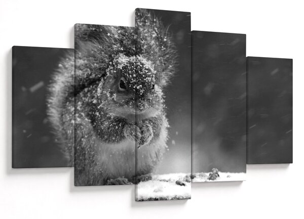Kép - Mókus télen (150x105 cm)