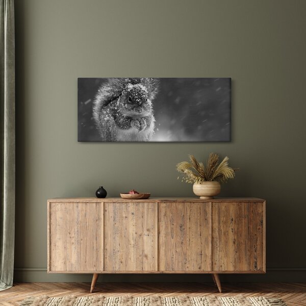 Kép - Mókus télen (120x50 cm)