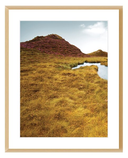 Grassy Field I kép 40x50cm