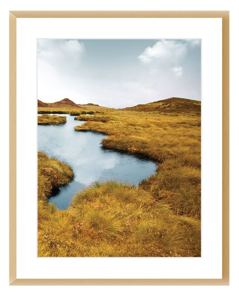 Grassy Field II kép 40x50cm