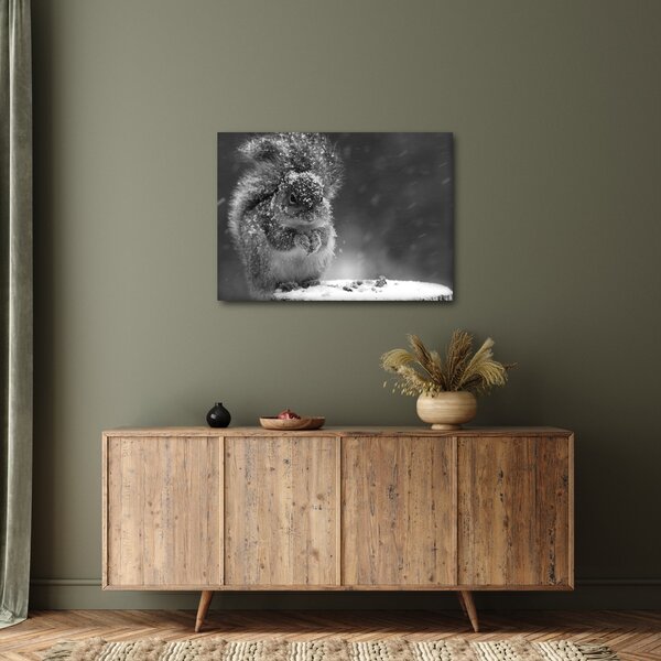 Kép - Mókus télen (70x50 cm)