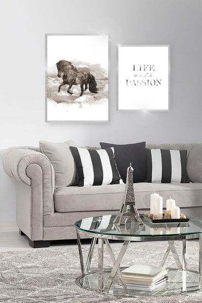 Passion Silver kép