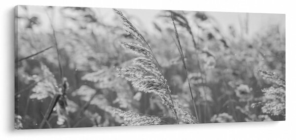 Kép - Fű a szélben (120x50 cm)