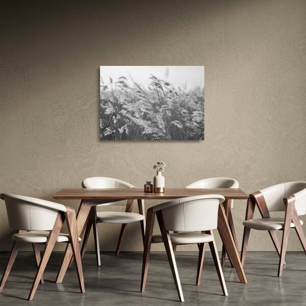 Üveg kép - Fű a szélben (70x50 cm)
