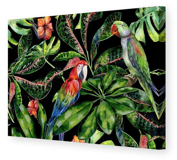 Tropical Birds vászonkép