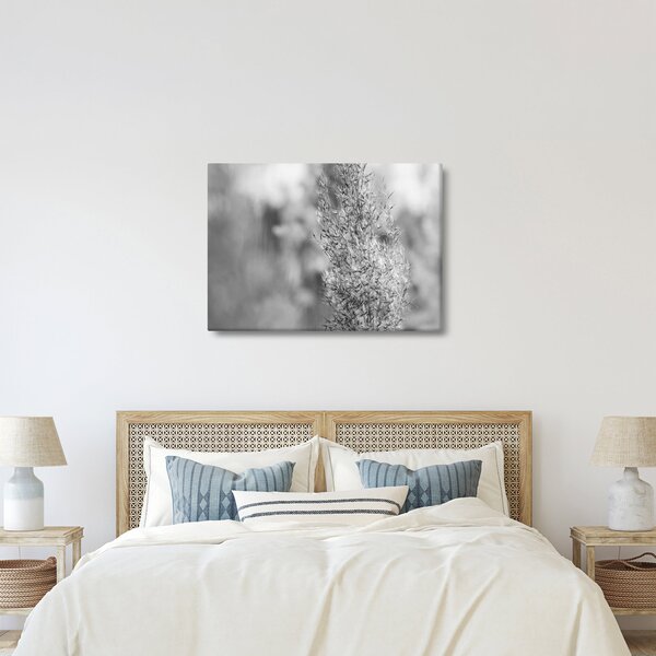 Kép - Boho pampafű (70x50 cm)