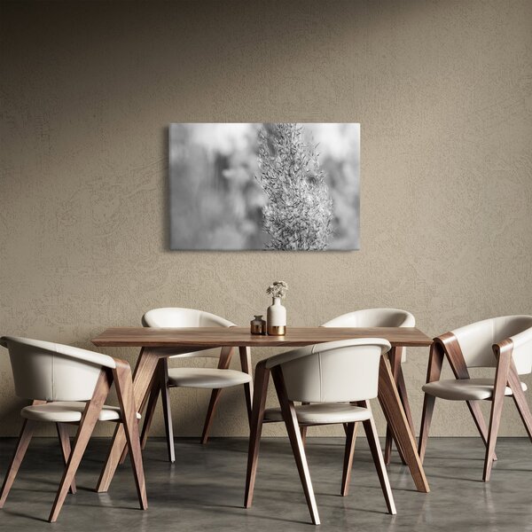 Kép - Boho pampafű (90x60 cm)