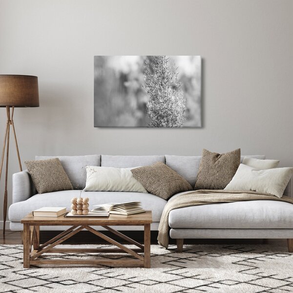 Kép - Boho pampafű (90x60 cm)