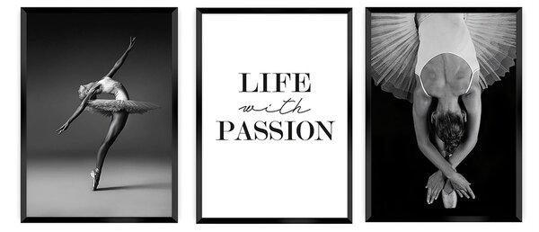 Passion kép szett 3 db