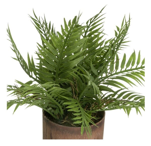 Műnövény szett 2 db-os (magasság 22 cm) – Casa Selección