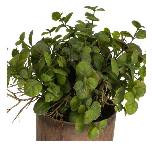 Műnövény szett 2 db-os (magasság 22 cm) – Casa Selección